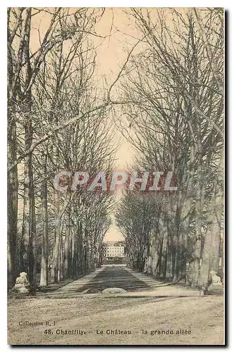 Ansichtskarte AK Chantilly le Chateau la Grande allee