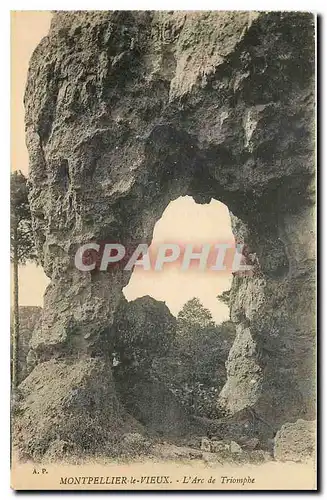 Cartes postales Montpellier le Vieux l'Arc de Triomphe