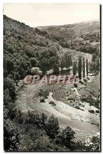 Cartes postales La Vallee pittoresque de la Sioule Saules et peupliers courbe scintillante de lumiere la Sioule