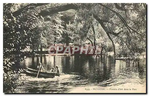 Cartes postales Munster Plaisirs d'ete dans le Parc Barque