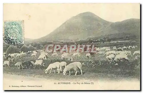 Cartes postales Auvergne Le Puy de Dome Moutons