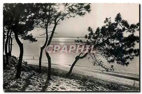 Cartes postales Bassin d'Arcachon Coucher de Soleil