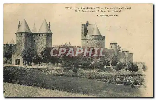 Cartes postales Cite de Carcassonne Vue Generale de l'Est Porte Narbonnasse