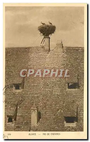 Cartes postales Alsace Nid de Cigognes