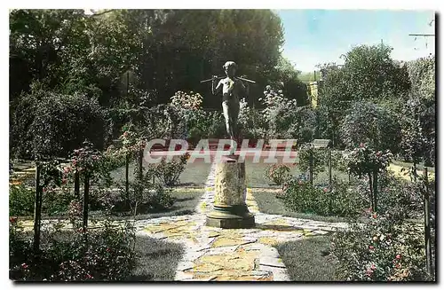 Ansichtskarte AK Dijon Cote d'Or Jardin de l'Arquebuse La Roseraie