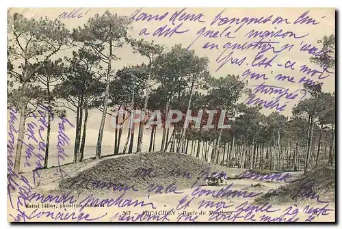 Cartes postales Arcachon Route du Modeau