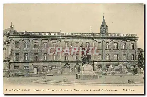 Ansichtskarte AK Montauban Musee de l'Historie naturelle la Bourse et le Tribunal de Commerce