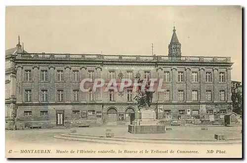 Cartes postales Montauban Musee de l'Historie naturelle la Bourse et le Tribunal de Commerce