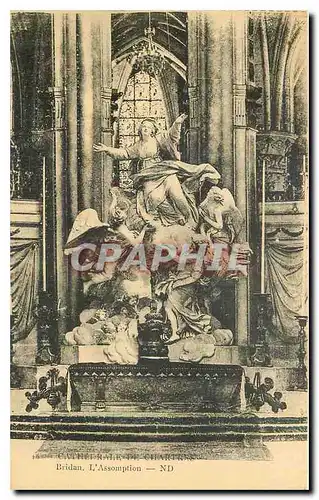 Cartes postales Cathedrale de Chartres Bridan l'Assomption