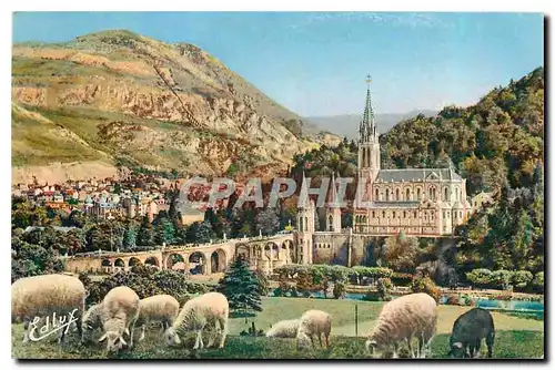 Cartes postales Lourdes La Basilique et le Pic du Jer