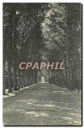 Cartes postales Une allee dir Parc de Versailles