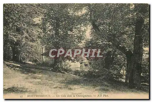 Cartes postales Montmorency Un coin dans la Chataigneraie