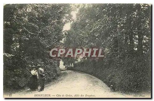 Cartes postales Honfleur Cote de Grace Allee des Bruyeres