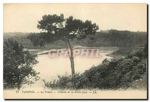 Cartes postales Paimpol Le Trieux Chateau de la Roche Jagu