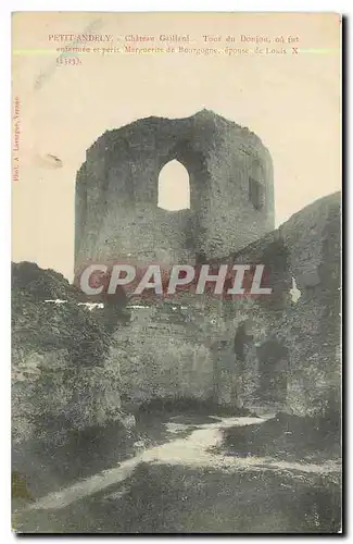 Cartes postales Petit Andely Chateau Tour du Donjon