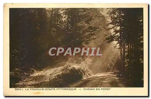 Cartes postales La Franche comte Pittoresque Chemin en Foret