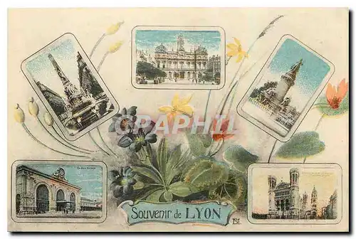 Cartes postales Souvenir de Lyon