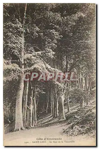 Cartes postales Cote d'Emeraude Saint Cast Le Bois de la Vieuxville