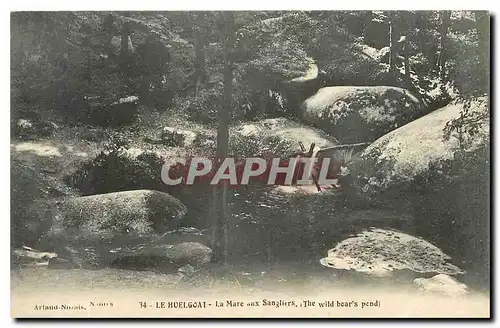 Cartes postales Le Huelgoat La Mare Sangliers