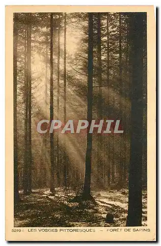Cartes postales Les Vosges Pittoresques Foret de Sapins