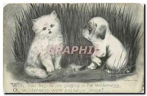 Cartes postales Chat Chien