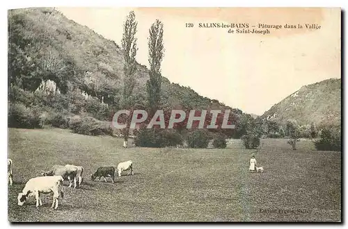 Ansichtskarte AK Salins les Bains Paturage dans la Vallee de Saint Joseph Vaches