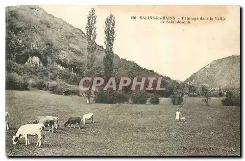 Cartes postales Salins les Bains Paturage dans la Vallee de Saint Joseph Vaches