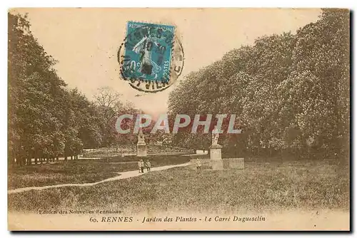 Ansichtskarte AK Rennes Jardin des Plantes