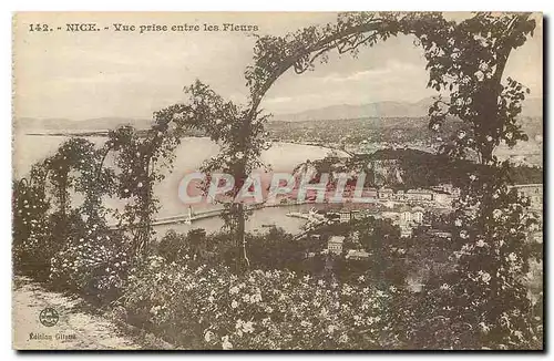 Cartes postales Nice Vue prise entre les Fleurs