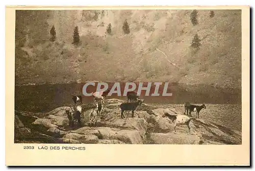 Cartes postales Lac des Perches l'Alsace Chevres