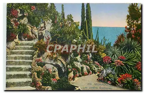 Cartes postales Monaco Les Jardins Exotiques