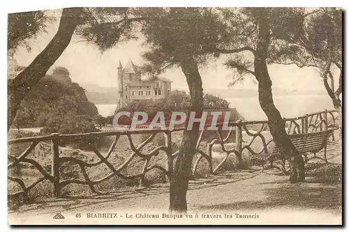 Cartes postales Biarritz Le Chateau Basque vu a travers les Tamaris