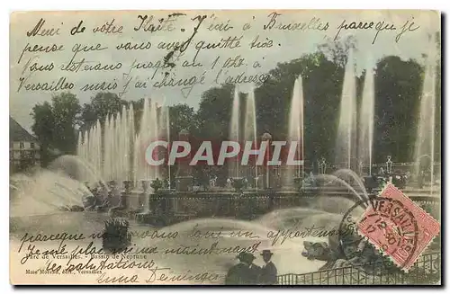 Cartes postales Parc de Versailles Bassip de Neptune