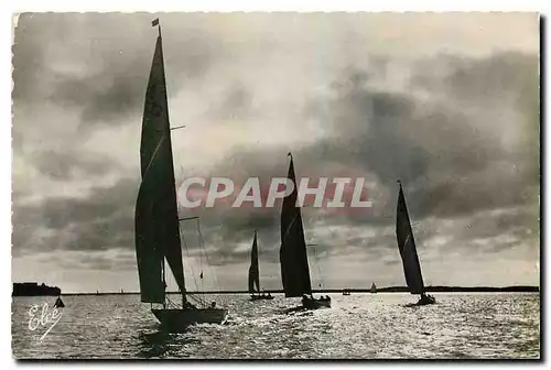 Cartes postales moderne Bassin d'Arcachon Contre Jour sur les Regates Bateaux