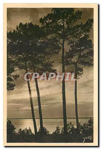 Cartes postales Les Charmes de la Cote d'Argent mer et foret d'Arcachon au Moulleau