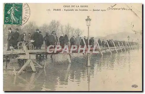 Cartes postales Crue de la Seine Paris Esplanade des Invalides