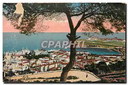 Cartes postales Principaute de Monaco Vue Generale Cote Nord