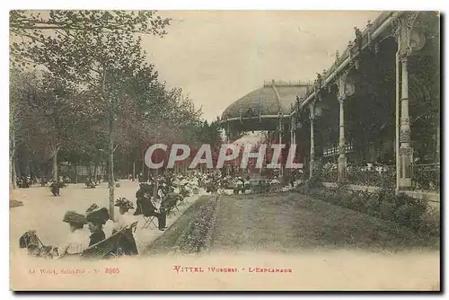 Cartes postales Vittiel Vosges l'Esplanade
