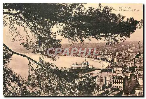 Cartes postales Nice Vue a travers les pins