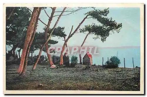 Ansichtskarte AK Hyeres les Palmiers Var La Plage Les Pins