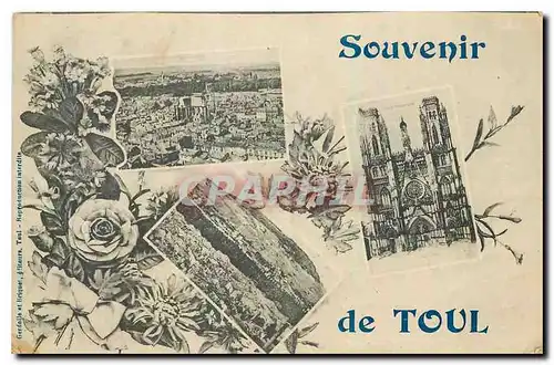 Cartes postales Souvenir de Toul