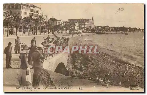 Cartes postales Cannes La Promenade de la Croisette