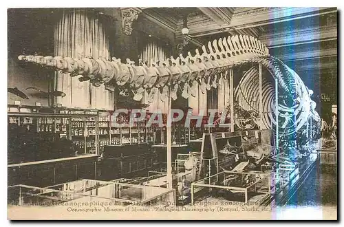 Cartes postales Monaco Musee of Oceanographique Baleine