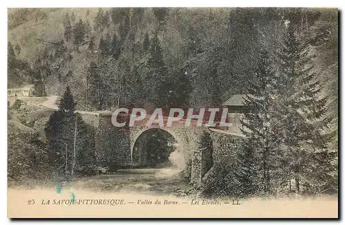 Cartes postales La Savoie Pittoresque Vallee du Borne Les Etroits