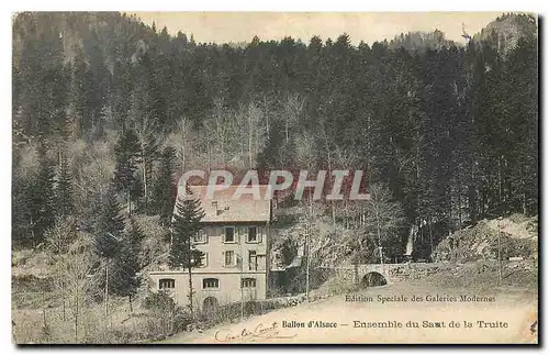 Cartes postales Ballon d'Alsace Ensemble du Saur de la Truite