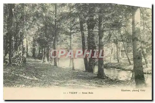 Cartes postales Vichy Sous Bois