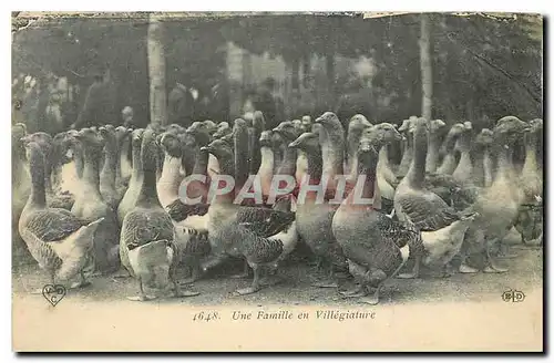 Ansichtskarte AK Une Famille en Villegiature Oies