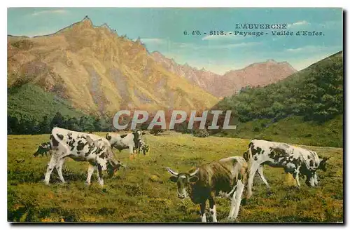 Cartes postales l'Auvergne Paysage Vallee d'Enfer Vaches