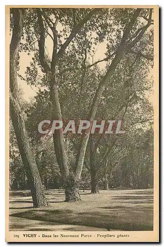 Cartes postales Vichy Dans les Nouveaux Parc Peupliers geants