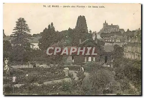 Ansichtskarte AK Le Mans Jardin des Plantes Un beau coin